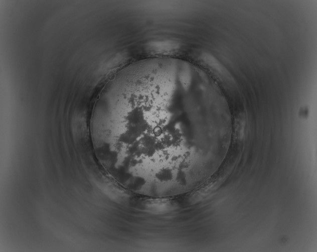 X0000091550377200708241800
