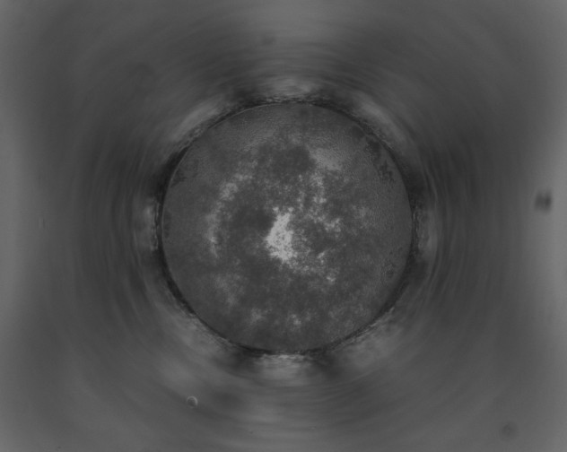 X0000091550378200708241800