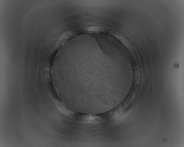 X0000091550379200708241800