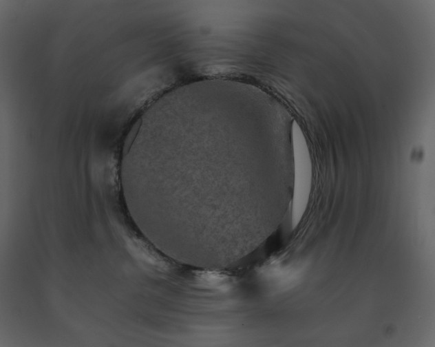 X0000091550380200708241800
