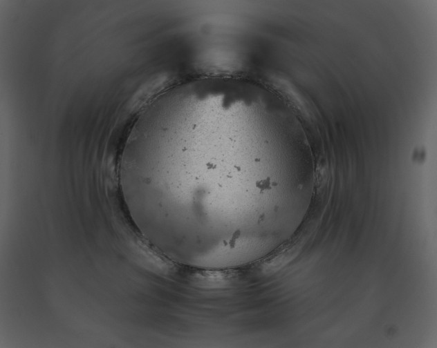 X0000091550381200708241800
