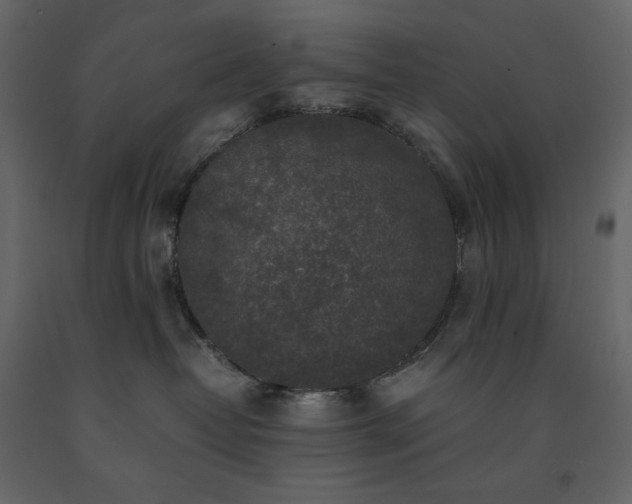 X0000091550382200708241800