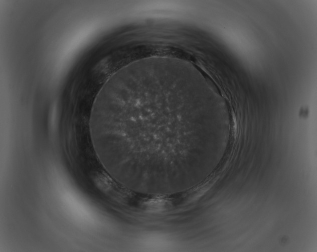 X0000091550383200708241800