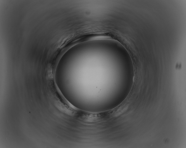 X0000091550384200708241800