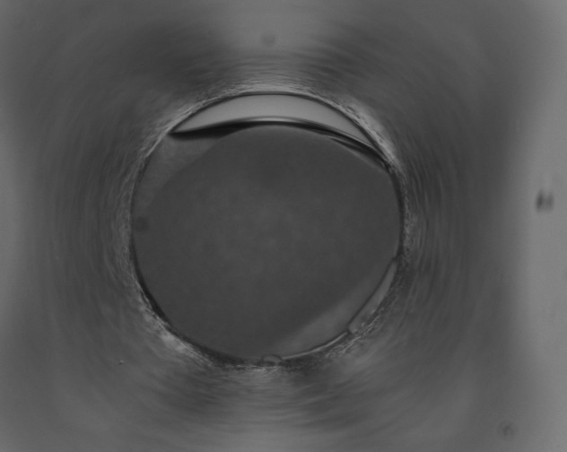 X0000091550385200708241800