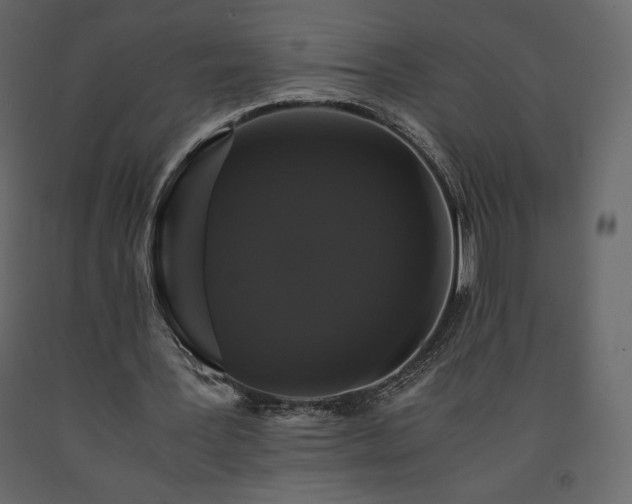 X0000091550387200708241800