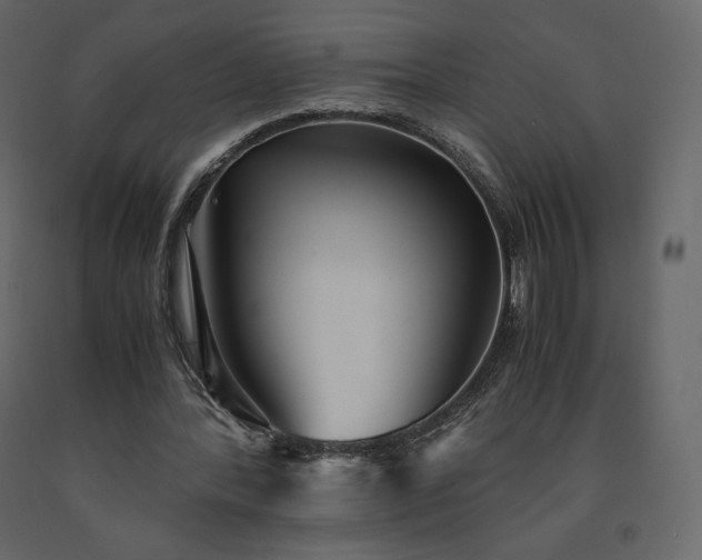 X0000091550388200708241800