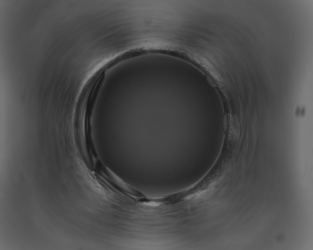 X0000091550391200708241800