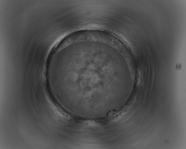 X0000091550392200708241800