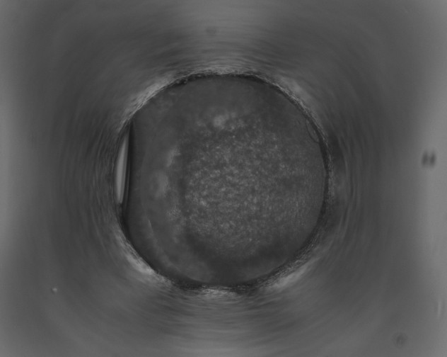 X0000091550393200708241800
