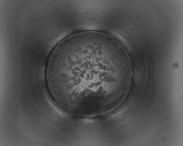 X0000091550394200708241800