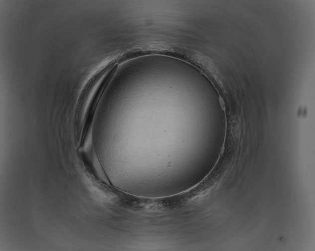 X0000091550395200708241800