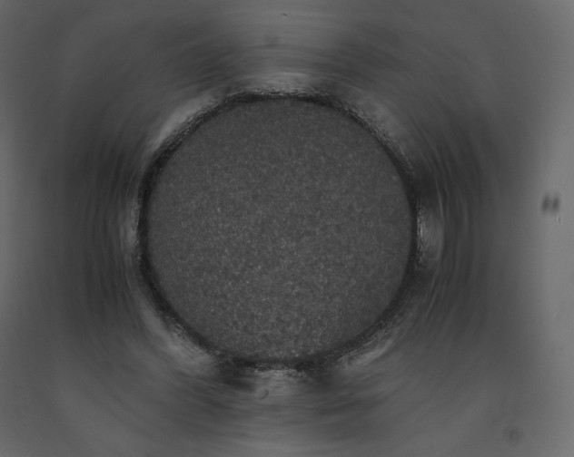 X0000091550396200708241800
