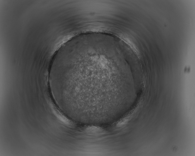 X0000091550397200708241800