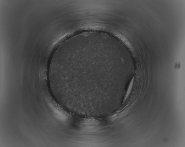 X0000091550399200708241800