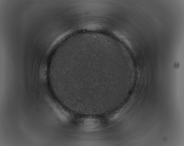 X0000091550400200708241800