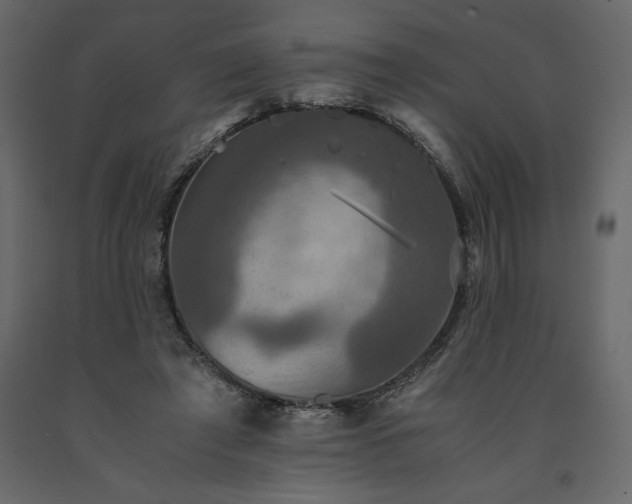 X0000091550401200708241800