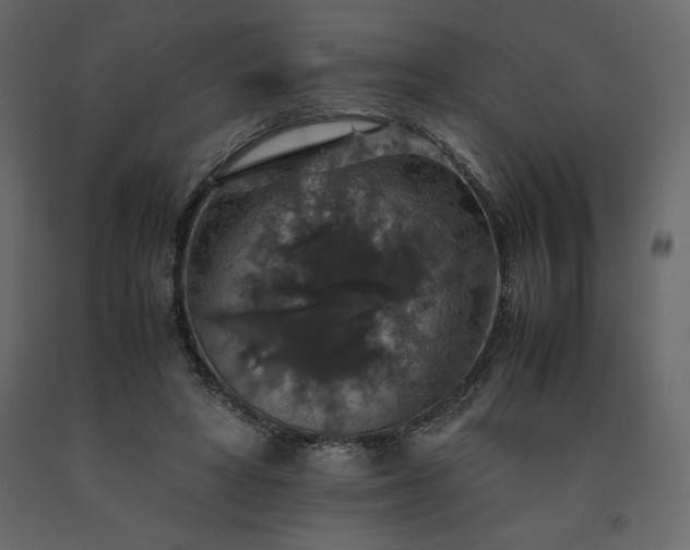 X0000091550402200708241800