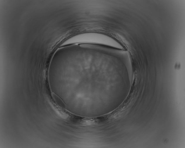 X0000091550405200708241759