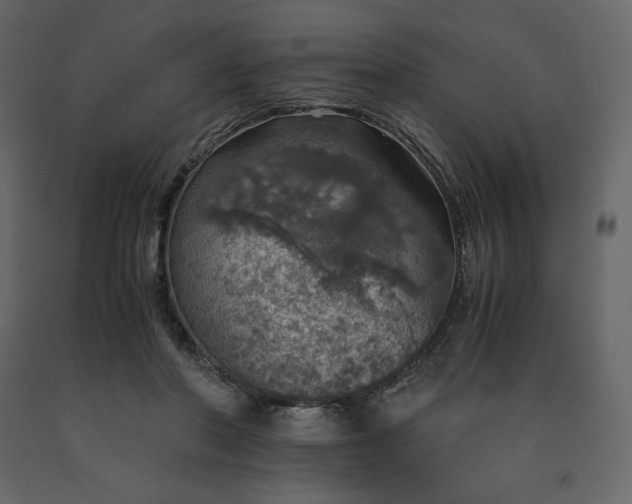 X0000091550406200708241759