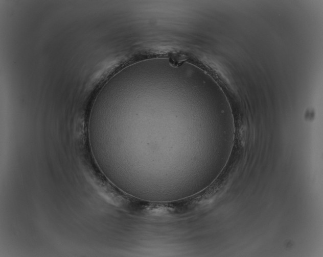 X0000091550407200708241759