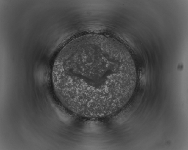 X0000091550408200708241759