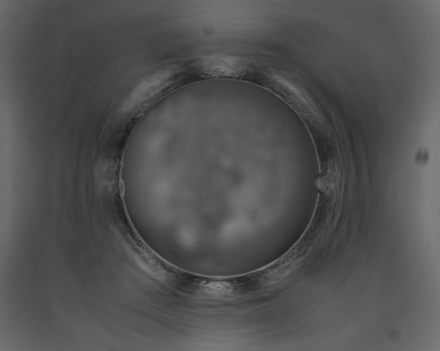 X0000091550409200708241759