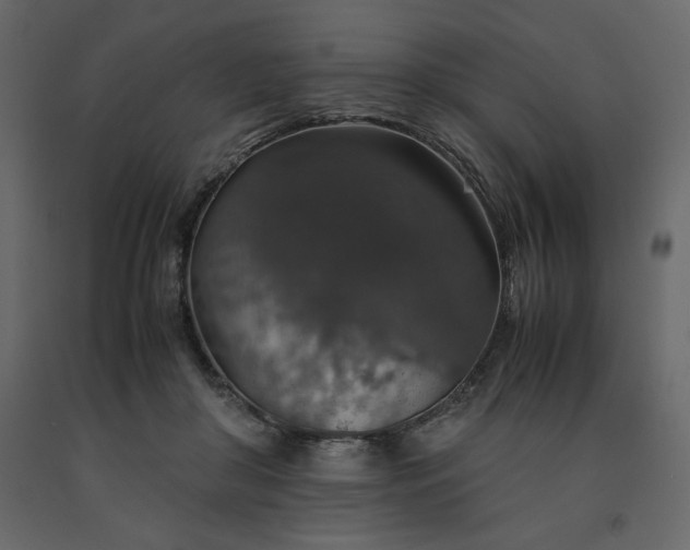 X0000091550410200708241759