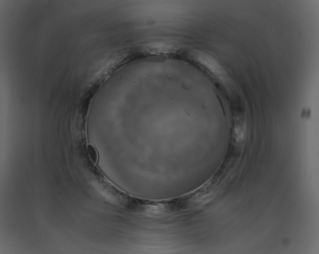 X0000091550411200708241759