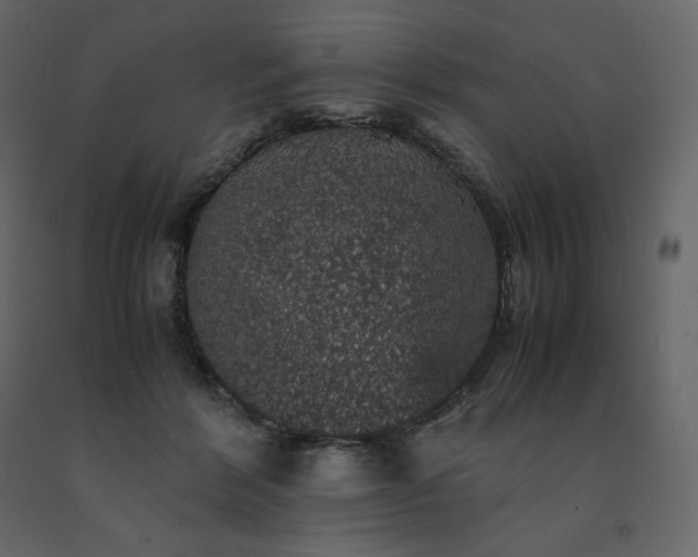 X0000091550412200708241759