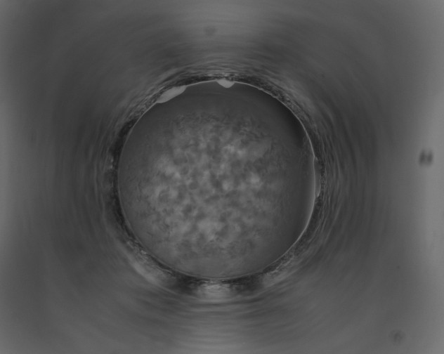 X0000091550413200708241759