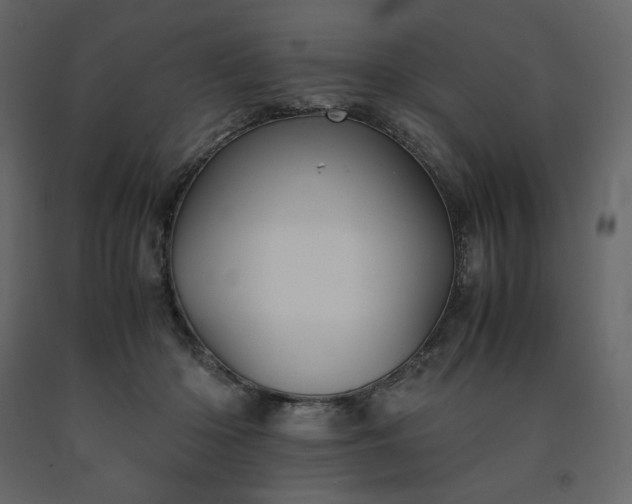 X0000091550414200708241759