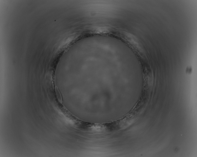 X0000091550415200708241759