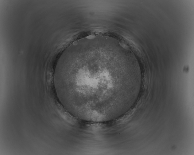 X0000091550417200708241759