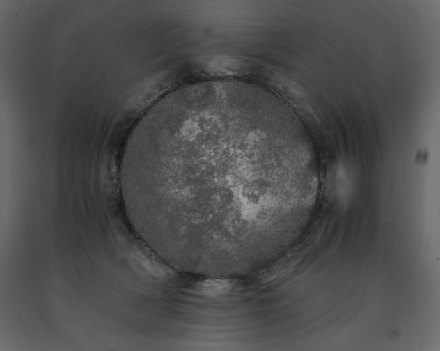 X0000091550418200708241759