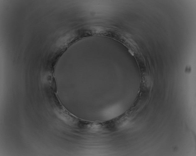 X0000091550419200708241759