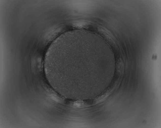 X0000091550420200708241759