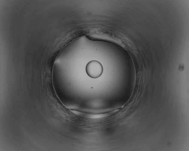 X0000091550421200708241759