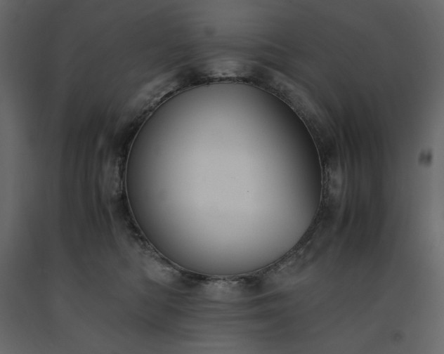 X0000091550422200708241759