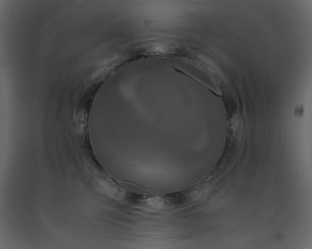X0000091550423200708241759