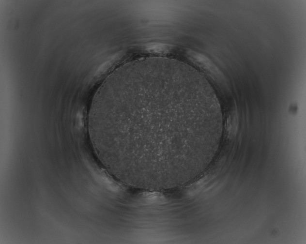 X0000091550424200708241759