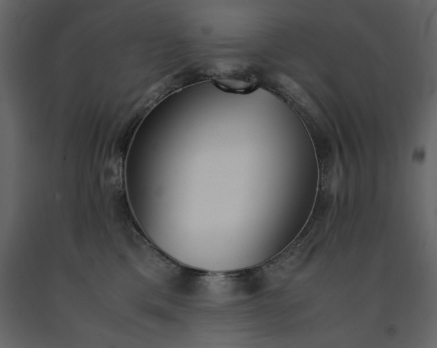 X0000091550425200708241759