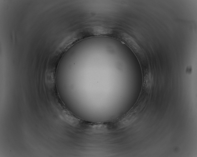 X0000091550426200708241759
