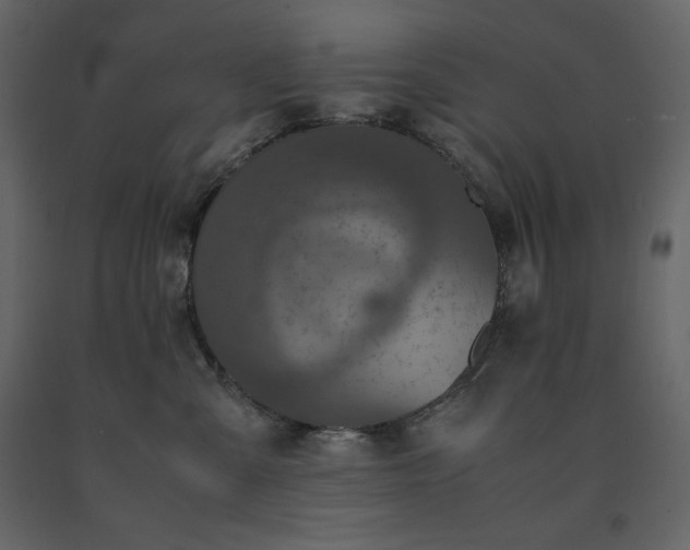 X0000091550427200708241759