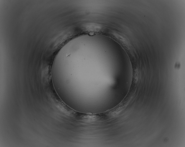X0000091550428200708241759