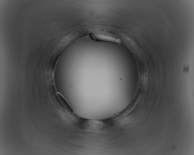X0000091550429200708241759
