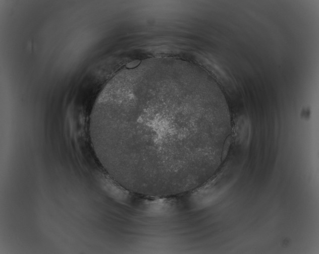 X0000091550430200708241759