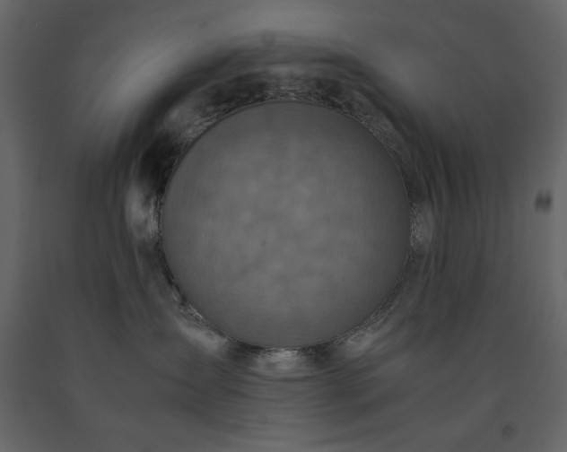 X0000091550431200708241759