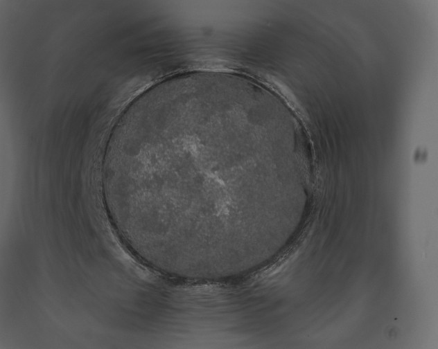 X0000091550433200708241759
