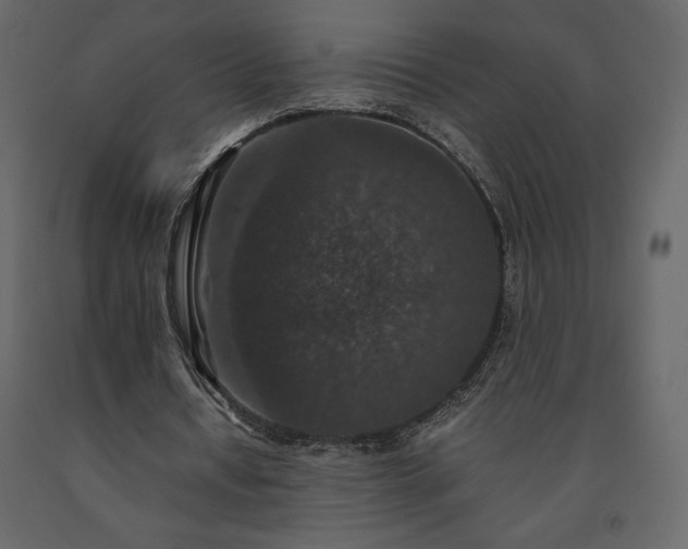 X0000091550434200708241759